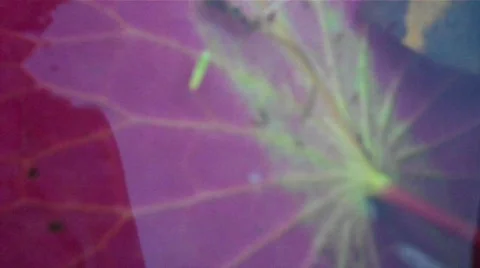 Water texture 05 Stock Footage 606646