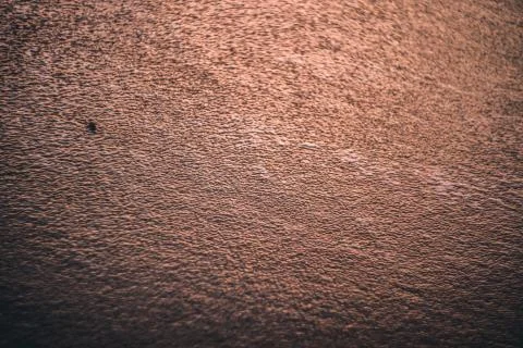 Water texture on a bech Stock Photos