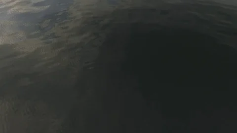 Water texture Stock Footage 80553369