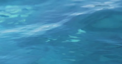 Water Texture Video stock 262121089