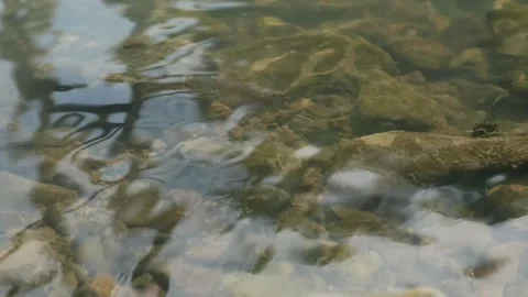 Water texture Stock Footage 341850570