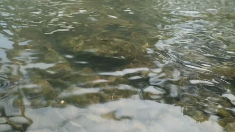 Water texture Stock Footage 341851565