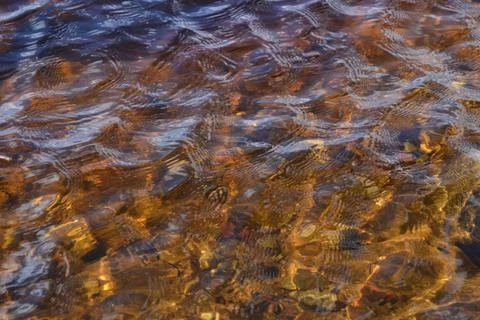 Water texture pattern in lake in spring sunlight. Through the clear water Stock Photos