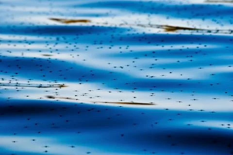 Water texture Stock Photos