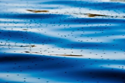 Water texture Stock Photos