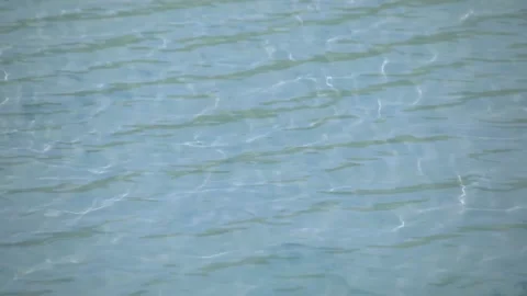 Water texture of small lake Video stock 197515889