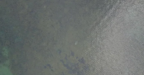 Water Texture on the St. Lawrence River – Natural Rippling Surface in 4K Stock Footage 308655120