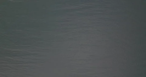 Water Texture on the St. Lawrence River – Natural Rippling Surface in 4K -3 Video stock 308663902