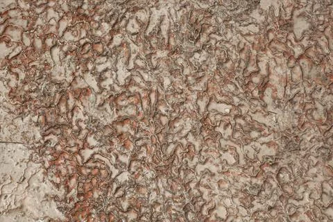Water texture on stone Stock Photos