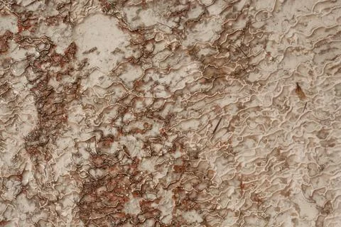 Water texture on stone Stock Photos