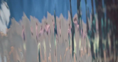 Water texture in Swimming pool Stock Footage 320447870