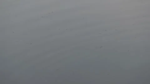 Water Textures 003 Stock Footage 328517795