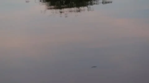 Water Textures 003 Stock Footage 328635264