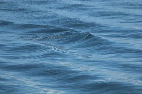 Water Textures Stock Photos