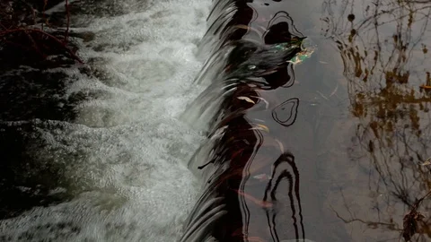 Water threshold in the autumn park. Stock Footage 120069349