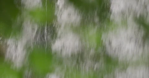 Water Through Dense Green Vegetation Stock-Footage 330675898
