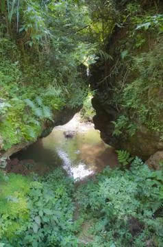 Water through the mountain forest. Foto stock