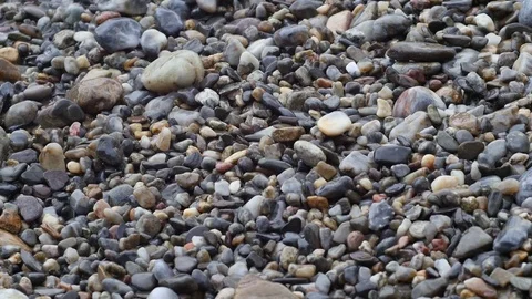 Water through pebbles on beach Stock Footage 73927725