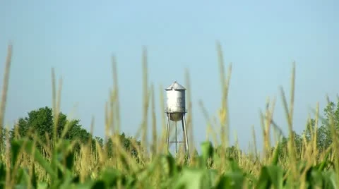 Water Tower &amp; Corn Field - Rack Focus Stock Footage 11531344