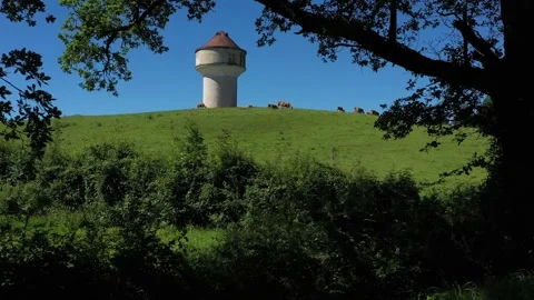 Water tower with a group of cows eating in a field Video stock 144656815