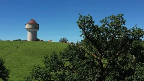 Water tower with a group of cows eating in a field Video stock 144656870