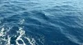 Water Tracks 20110424 154413 HD Footage