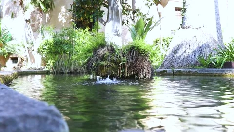 Water tranquility Stock Footage 272831017