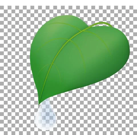 Water transparent dewdrop on green leaf Stock Illustration