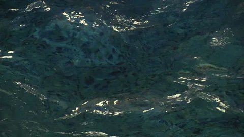 The water is transparent in the pool. Stock Footage 92817254