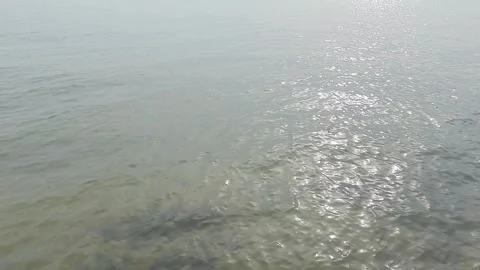 Water transparent surface with light waves in sea Stock-Footage 243986902
