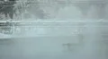 Water treatment circular tank with vapour from surface HD Footage