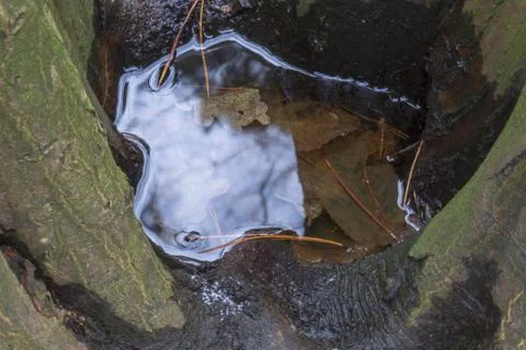 Water in a tree with sky reflection Stock Photos