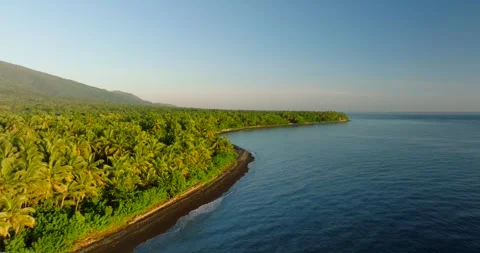 Water, trees, and mountains create a beautiful natural landscape from the sky Stock Footage 274737057