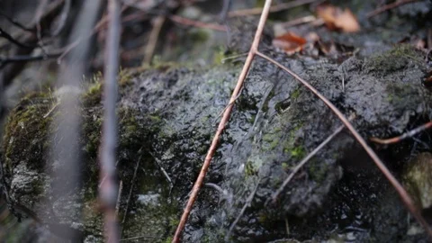 Water trickle 動画素材 87746835