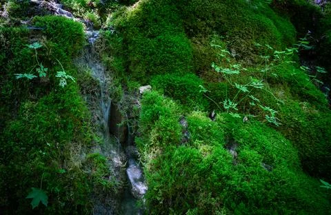 Water trickle Foto stock
