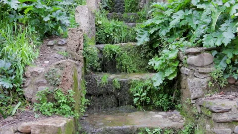 Water trickles down an overgrown stone staircase Stock Footage 274561650