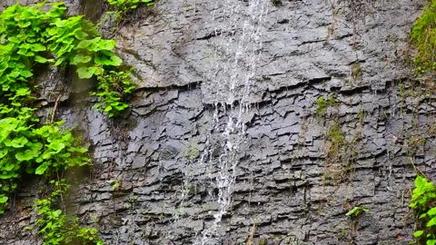 Water trickling down along dark wet rock with green moss. Background decoration Stock Footage 143320029