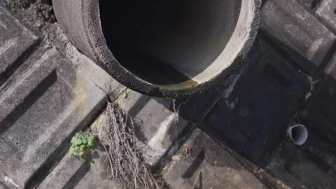Water trickling from a drain pipe Stock Footage 263217117
