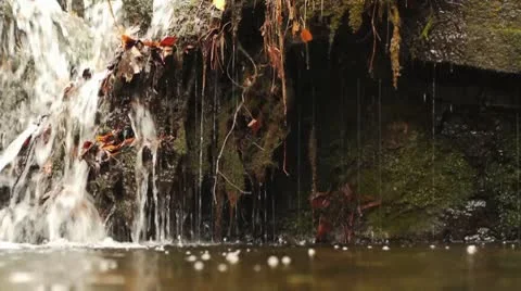 Water Trickling Stock-Footage 8998025