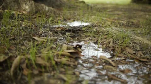 Water Trickling on Ground Video stock 11851391