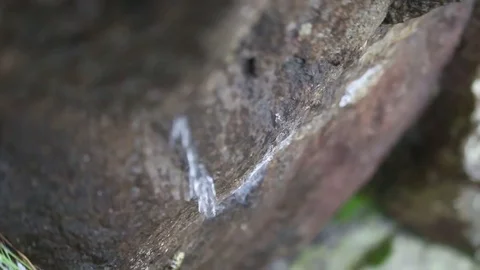 Water Trickling off a Rock Stockbeeldmateriaal 79982554
