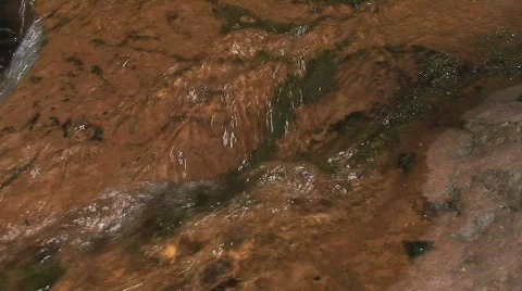 Water Trickling on Rocks Stock-Footage 481822