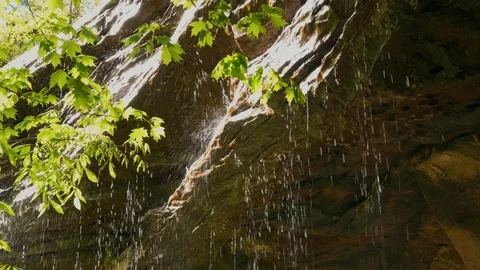 Water on Tropical Cave Stock Footage 86000322