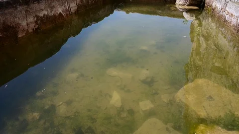 Water trough for animals. Spain Vidéo 115446978