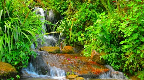 Water Tumbles over Artificial Waterfall in Chiang Mai, Thailand 스톡 동영상 48568778