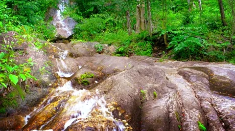 Water Tumbling down a Natural Waterfall in the Jungle Vidéo 53410445