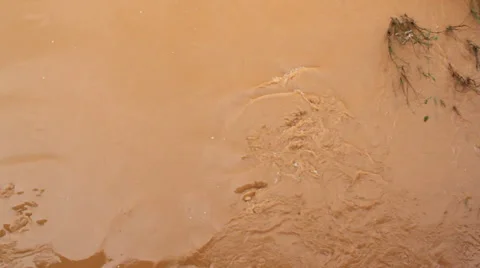 Water turbidity Video stock 37056086