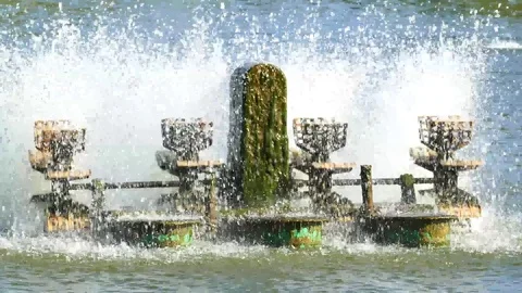 Water turbines on pond Stock Footage 80659846