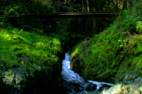 Water under bridge Stock Footage 87286