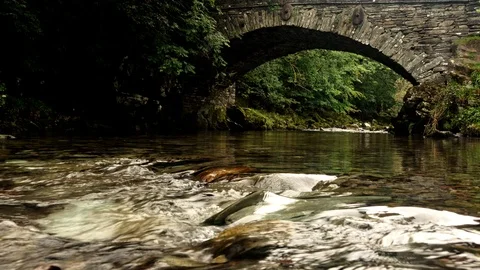 Water Under the Bridge Stock Footage 119221850